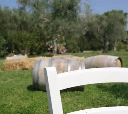 Tenuta Pinto 莫拉-迪巴里